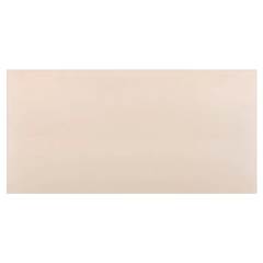 PISO CERÂMICO 30X60CM TIPO A CLÁSSICO CRU BRANCO CAIXA 2,37M² POINTER