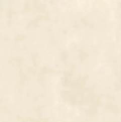PORC 74X74 C AVENIDA BRUT POL CX1,62 ELI
