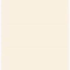 PORCELANA CHAMPAGBE MATE TIPO C 60X60 RET VETRUS