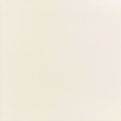 PORCELANATO BIANCO TECN 70X70 POLIDO RETIFICADO TIPO C ELIZABETH / REF. 8064495